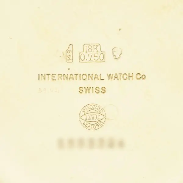 International Watch Company 18kt. Otwarta kieszeń w sukience z żółtego złota 9